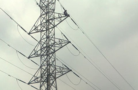 Một phụ nữ leo lên cây 8m, đòi tự tử