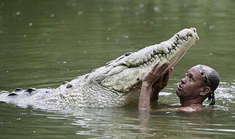 Bị cá sấu cắn mất 