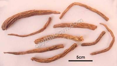 10 vị thuốc quý cho thai phụ