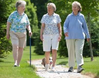 5 cách tăng cường trí nhớ ở người cao tuổi