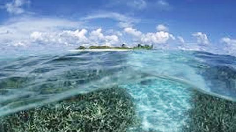 Đây biển Việt Nam: Những bài thơ được giải (tiếp)