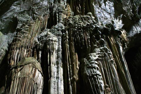 Hang thạch nhũ ngàn năm và huyền thoại về đôi chim phượng