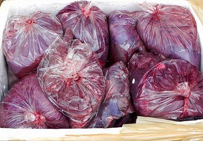 Bắt xe khách chở 300 kg thịt bò thối