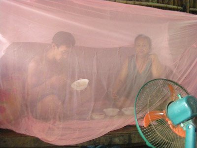 Người Hà Nội mắc màn ăn cơm vì... ruồi muỗi