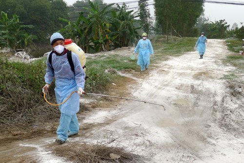 Cận cảnh ổ dịch H5N1 đầu tiên ở Hà Nội