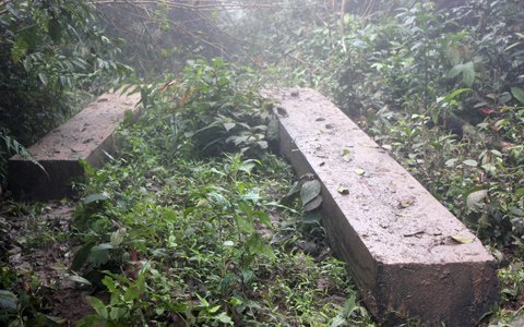 Vụ phá rừng lớn chưa từng có tại Hà Tĩnh