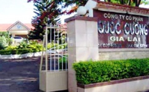Nhà đầu tư 'ngoại' loại cổ phiếu Quốc Cường Gia Lai