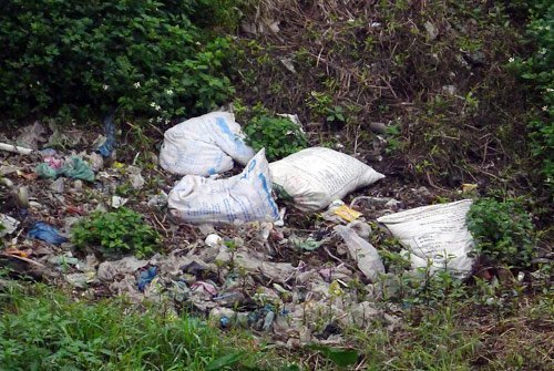 Nóng trong ngày: Sự thật ổ dịch H5N1 ở HN