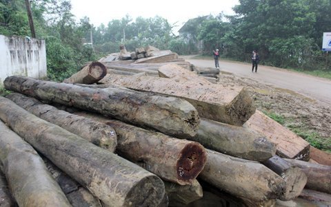 Cận cảnh rừng đầu nguồn biên giới bị 'làm thịt'