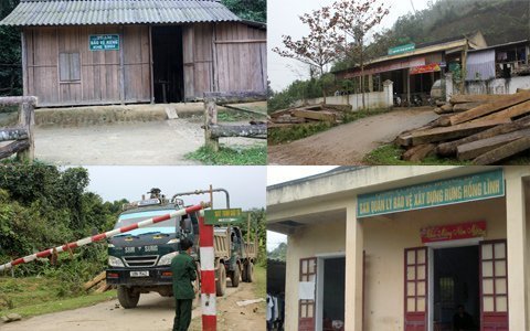 Thông tin chưa tiết lộ vụ phá rừng tàn khốc