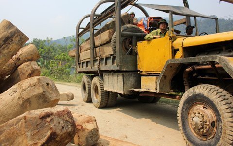 ‘Xã lâm tặc’ và những khu rừng bị chảy máu