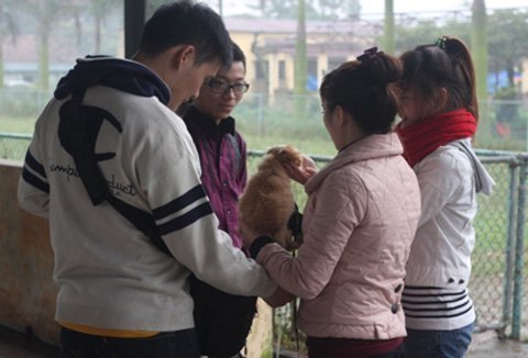 'Thiếu gia' Hà thành chơi chó nghiệp vụ 'khủng'