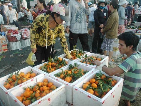 Dùng cả chất ướp xác tẩm trái cây