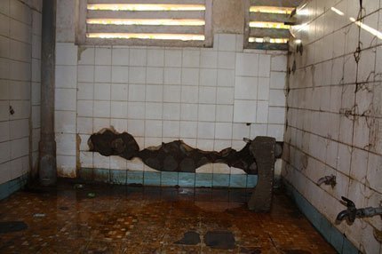Độc giả 