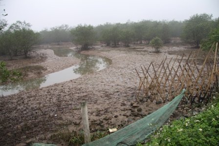 Kiến nghị hướng dẫn tiếp tục giao đất cho ông Vươn