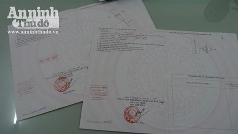 Hà Nội: Cán bộ địa chính làm giả 
