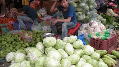Hà Nội: Rau củ rớt giá