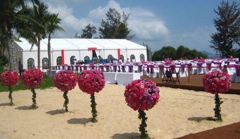 Thêm một 'siêu đám cưới' 220 tỷ đồng
