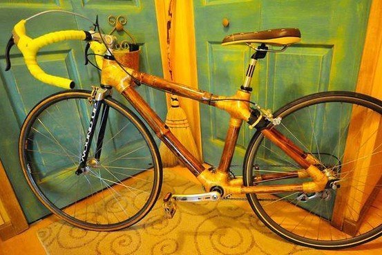 Từ xe đạp tre ngoại nghĩ về cây tre Việt Nam