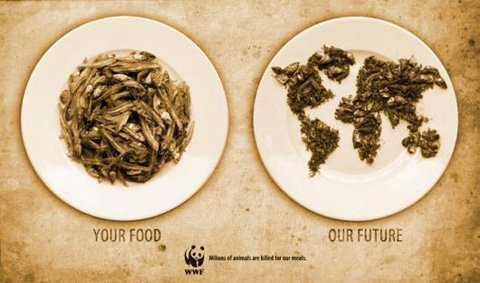 Hãy “Cứ làm đi” dù thảm họa