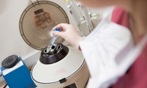 Phụ nữ độc thân đua nhau gửi trứng vào ngân hàng