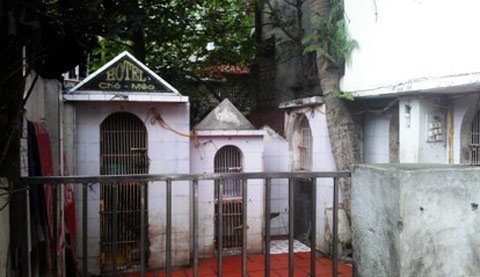 Chi 100 triệu đồng cho chó mèo nghỉ 'khách sạn'