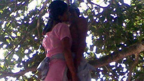 Tự tử trên cây trong tư thế hôn nhau