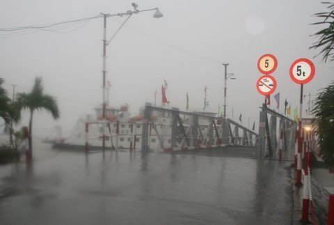 Bão số 1 'tấn công': Cây đổ, ngập trên diện rộng