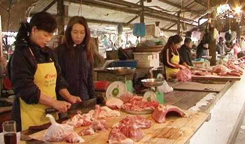 Chất tạo nạc: Bộ dùng chữa bệnh - Bộ cấm