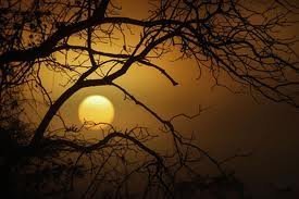 Lời khẩn cầu từ đứa bé vô danh