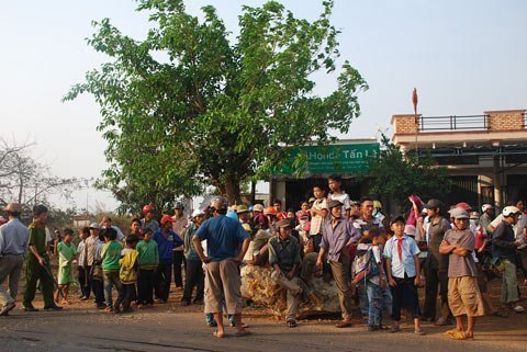 UBND tỉnh vào cuộc vụ cưỡng chế đá của dân