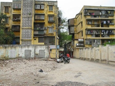 San phẳng tháp Trung Tự, đất vàng làm gì?