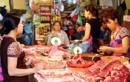 Truy xuất chất cấm lọt qua đường nhập khẩu