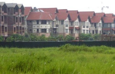 Đất đấu giá: Chủ đầu tư tháo chạy!