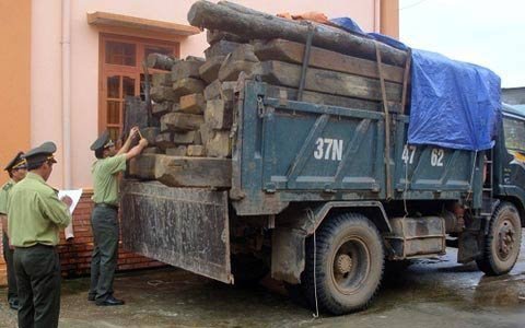 Hạt phó kiểm lâm nhận hối lộ 2 triệu đồng