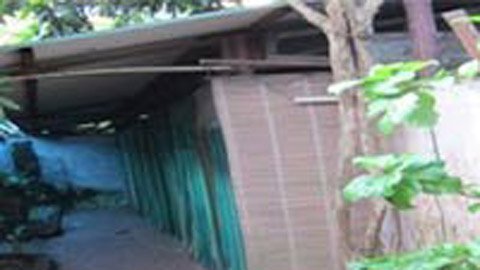 Café 'chuồng' hay mại dâm trá hình?