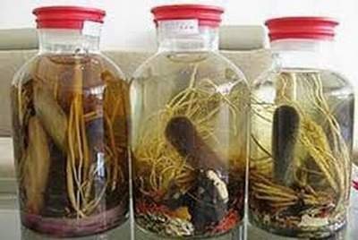 Món ăn, bài thuốc tăng cảm hứng cho nàng