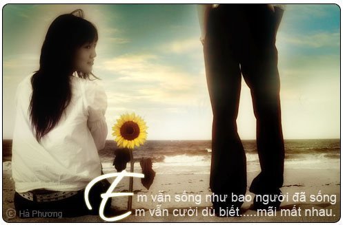 Cầu vồng sau cơn mưa