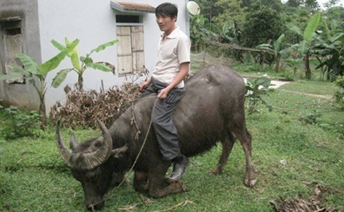 Biệt tài kỳ lạ của chàng trai xứ Nghệ