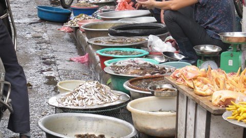Thực phẩm bẩn lan tràn chợ Hà Nội