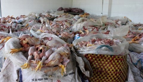 Bình Dương: Một nhà hàng đãi tiệc cưới bằng... thịt thối