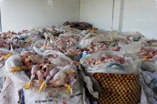 Tá hỏa tiệc cưới đãi khách lẩu thập cẩm... thịt thối