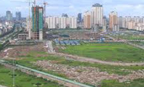 Có nên mua đất quy hoạch giá rẻ hay không?