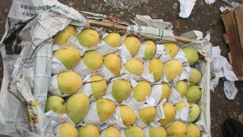 Ăn kiểu gì không độc?