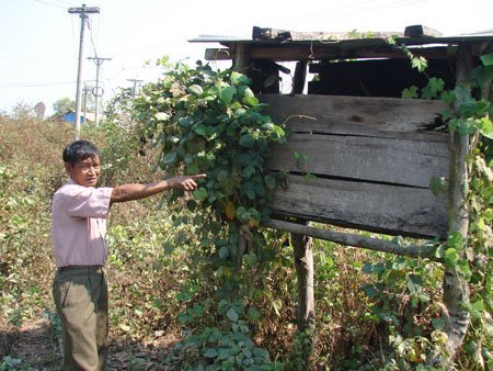 Chuyện ly kỳ về hòn đá biết 