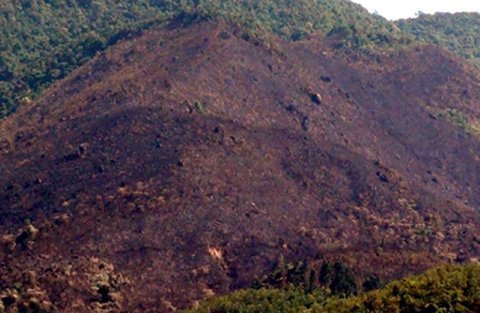 Nắng dữ dội, bom phát nổ gây cháy rừng