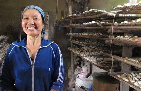 Rượu Vân một chén cả đời vẫn say