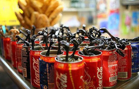 'Gà chổng mông' của Hà Nội hấp dẫn khách Tây