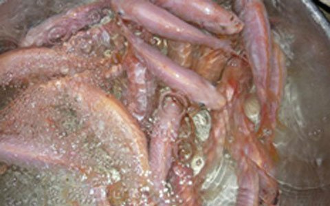 Khiếp vía đồ ăn thức uống bị tố bẩn, nhiễm độc