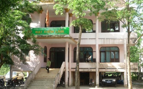 Lượng gỗ sưa đẹp vẫn còn nằm trong rừng